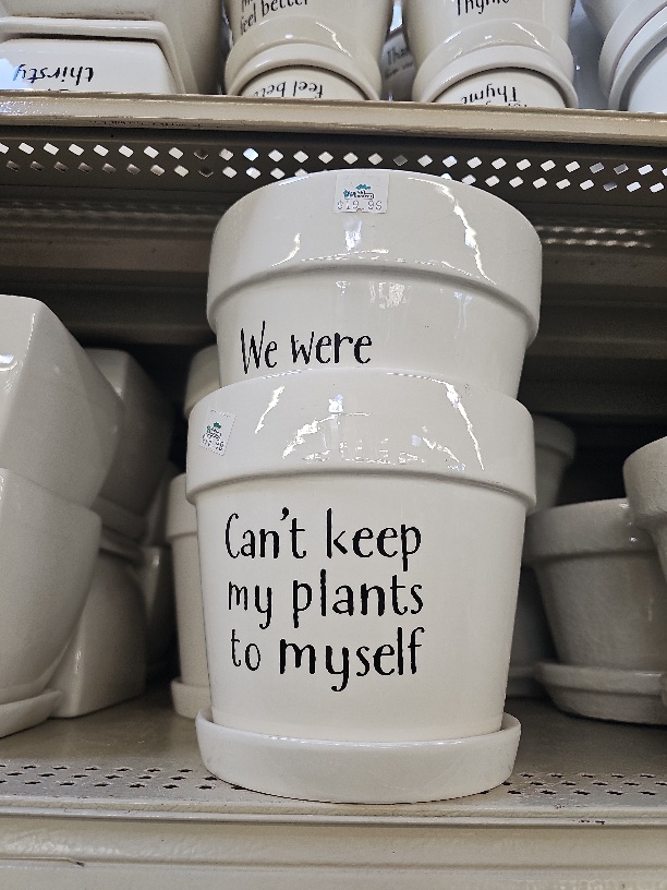 decortive pots with drainage and saucers