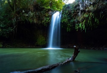 Maui Waterfall